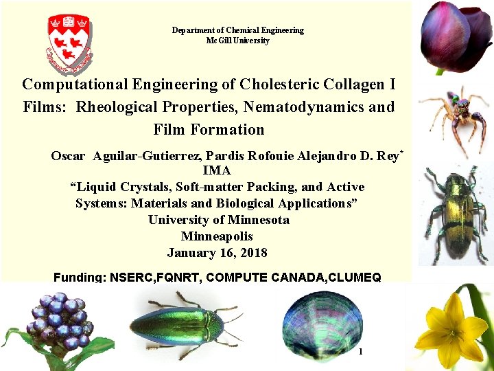 Department of Chemical Engineering Mc. Gill University Computational Engineering of Cholesteric Collagen I Films: