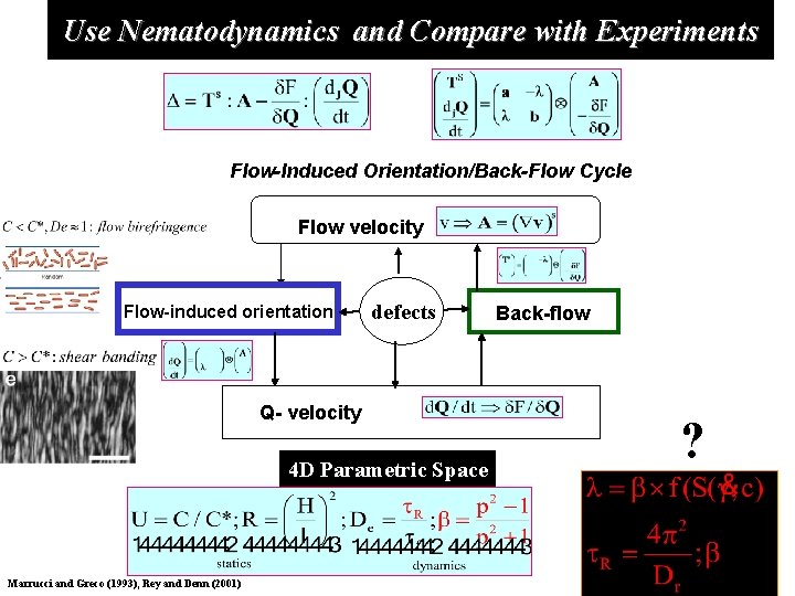 Use Nematodynamics and Compare with Experiments Flow-Induced Orientation/Back-Flow Cycle Flow velocity Flow-induced orientation defects