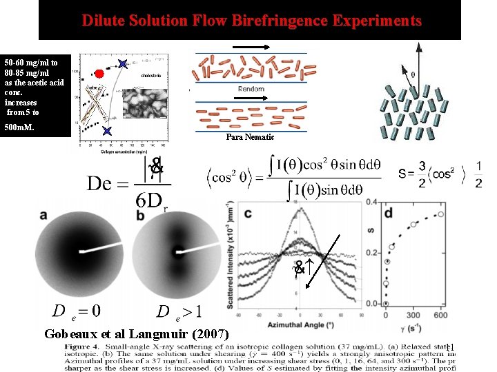  Dilute Solution Flow Birefringence Experiments 50 -60 mg/ml to 80 -85 mg/ml as