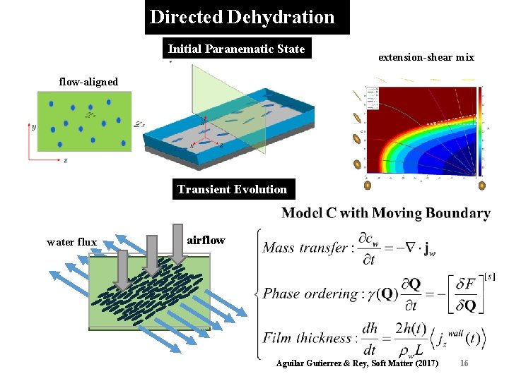 Directed Dehydration Initial Paranematic State extension-shear mix flow-aligned Transient Evolution water flux airflow Aguilar