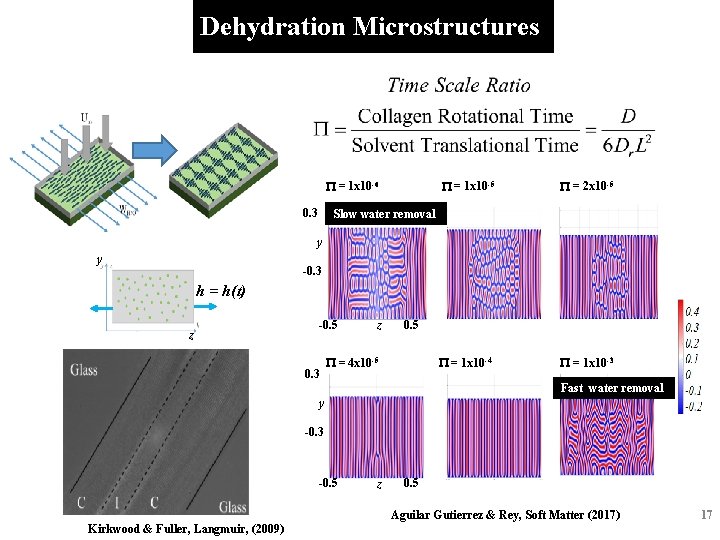 Dehydration Microstructures P = 1 x 10 -6 P = 1 x 10 -5