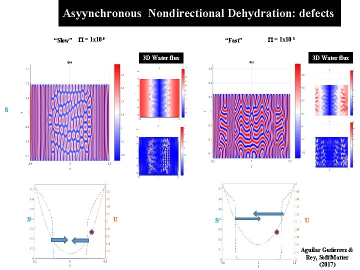 Asyynchronous Nondirectional Dehydration: defects P = 1 x 10 -5 “Slow” “Fast” P =