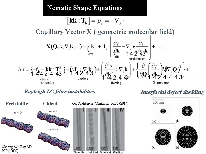  Nematic Shape Equations Capillary Vector X ( geometric molecular field) Rayleigh LC fiber