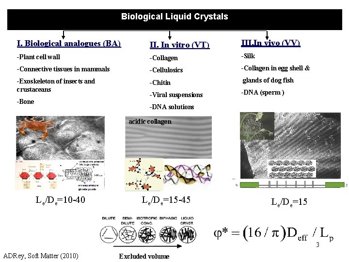 Biological Liquid Crystals I. Biological analogues (BA) II. In vitro (VT) III. In vivo