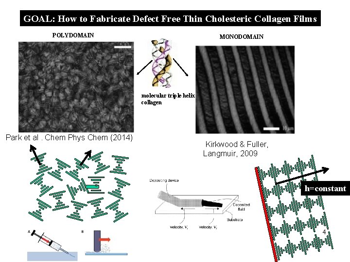 GOAL: How to Fabricate Defect Free Thin Cholesteric Collagen Films POLYDOMAIN MONODOMAIN molecular triple