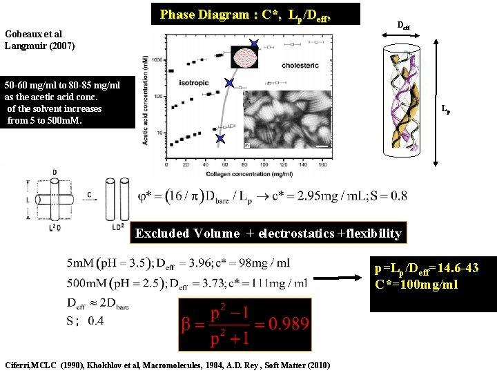  Phase Diagram : C*, Lp/Deff, Gobeaux et al Langmuir (2007) Deff 50 -60