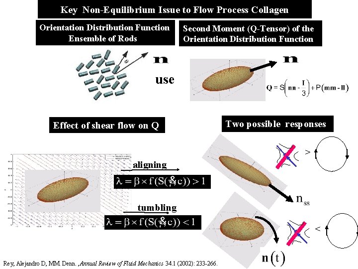 Key Non-Equilibrium Issue to Flow Process Collagen Orientation Distribution Function Ensemble of Rods Second