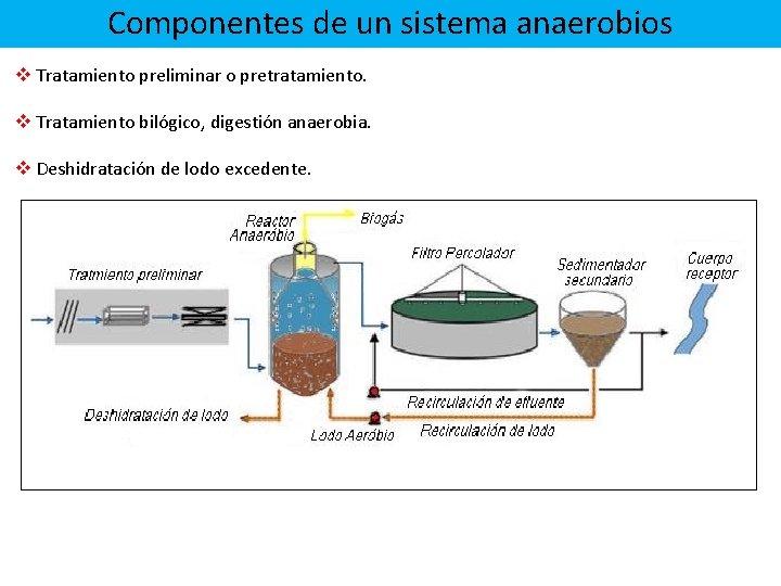 Control Operacional de Reactores anaerobios Ing Pedro E