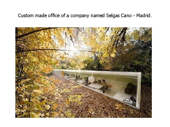 Custom made office of a company named Selgas Cano - Madrid. Custom made office of a company named Selgas Cano - Madrid.