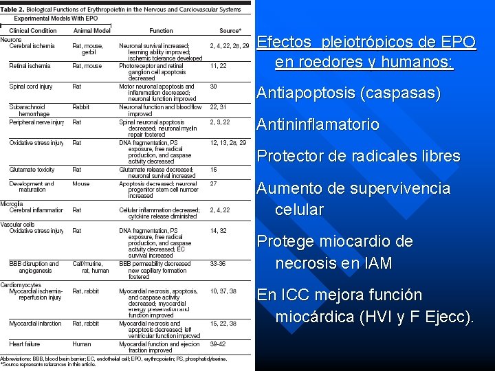 Efectos pleiotrópicos de EPO en roedores y humanos: Antiapoptosis (caspasas) Antininflamatorio Protector de radicales