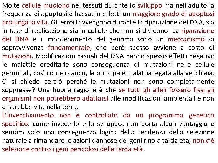 Molte cellule muoiono nei tessuti durante lo sviluppo ma nell’adulto la frequenza di apoptosi Molte cellule muoiono nei tessuti durante lo sviluppo ma nell’adulto la frequenza di apoptosi