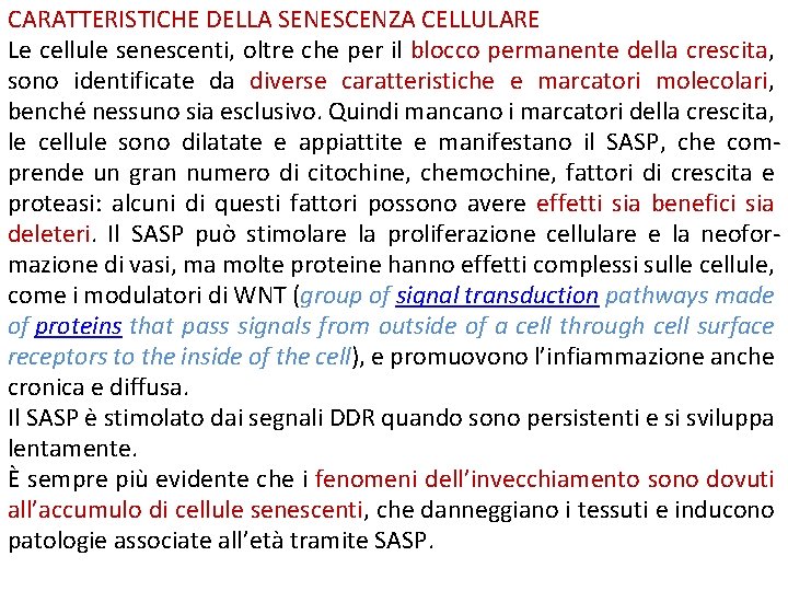 CARATTERISTICHE DELLA SENESCENZA CELLULARE Le cellule senescenti, oltre che per il blocco permanente della CARATTERISTICHE DELLA SENESCENZA CELLULARE Le cellule senescenti, oltre che per il blocco permanente della