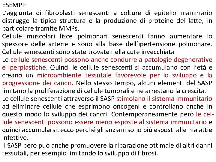 ESEMPI: L’aggiunta di fibroblasti senescenti a colture di epitelio mammario distrugge la tipica struttura ESEMPI: L’aggiunta di fibroblasti senescenti a colture di epitelio mammario distrugge la tipica struttura