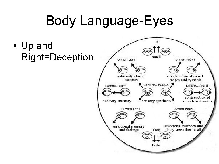 Body Language-Eyes • Up and Right=Deception 