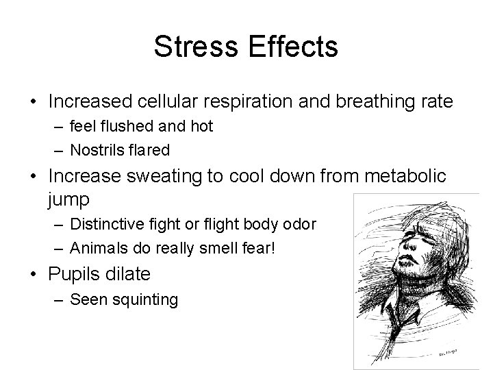 Stress Effects • Increased cellular respiration and breathing rate – feel flushed and hot