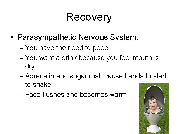 Recovery • Parasympathetic Nervous System: – You have the need to peee – You