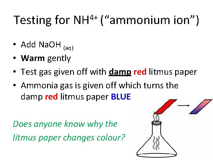 Testing for NH 4+ (“ammonium ion”) • • Add Na. OH (aq) Warm gently