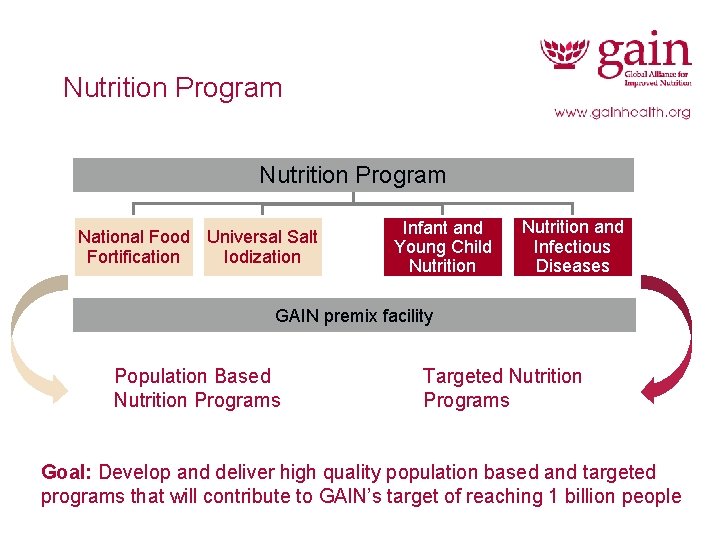 Nutrition Program National Food Universal Salt Fortification Iodization Infant and Young Child Nutrition and