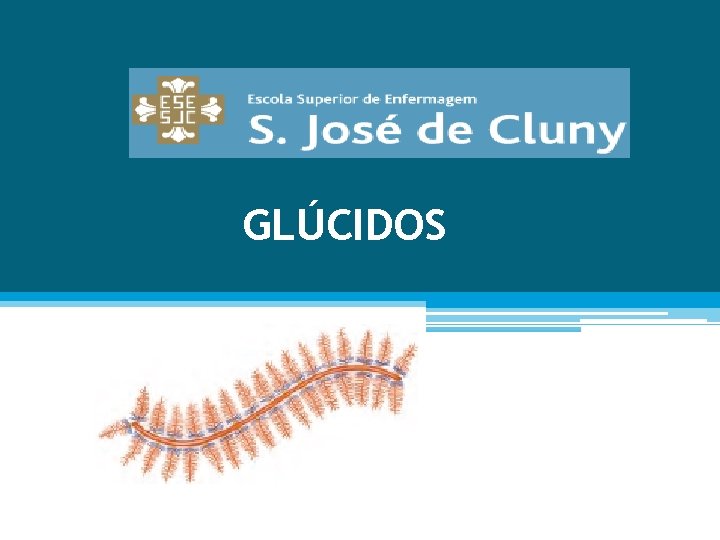 GLÚCIDOS 