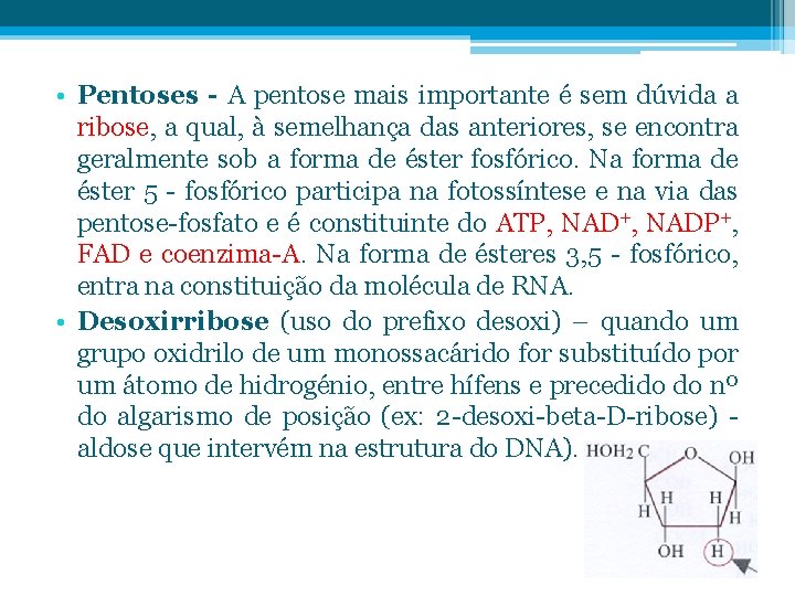  • Pentoses - A pentose mais importante é sem dúvida a ribose, a