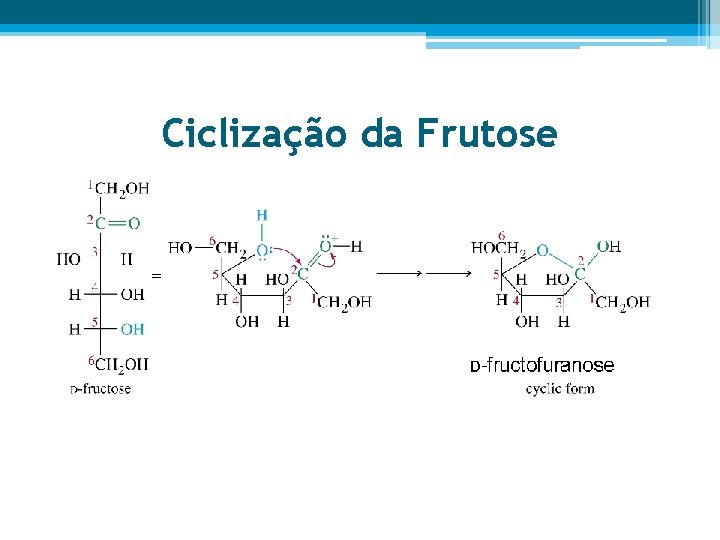 Ciclização da Frutose 