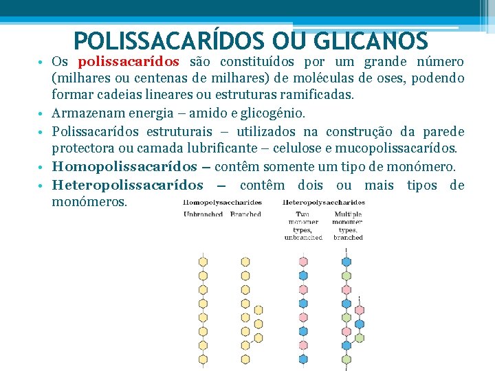 POLISSACARÍDOS OU GLICANOS • Os polissacarídos são constituídos por um grande número (milhares ou