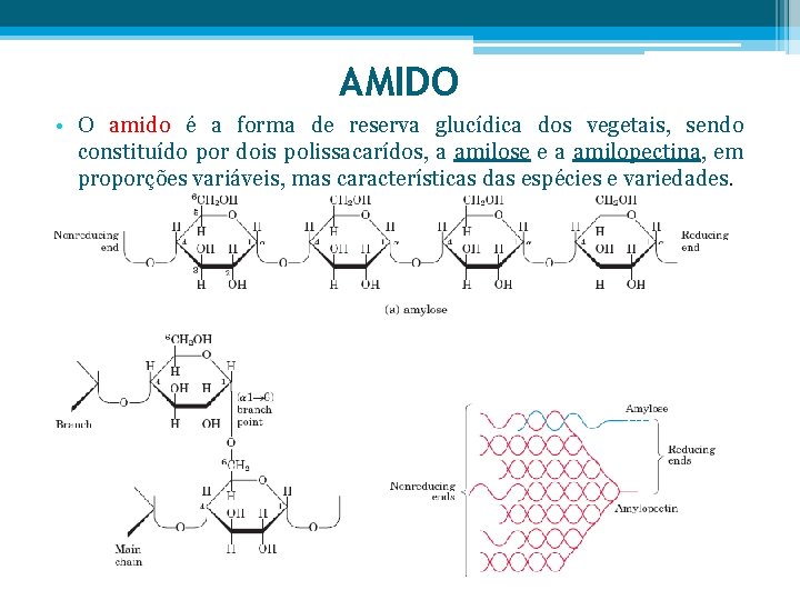 AMIDO • O amido é a forma de reserva glucídica dos vegetais, sendo constituído