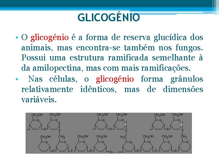 GLICOGÉNIO • O glicogénio é a forma de reserva glucídica dos animais, mas encontra-se