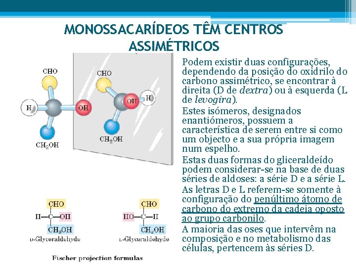 MONOSSACARÍDEOS TÊM CENTROS ASSIMÉTRICOS • Podem existir duas configurações, dependendo da posição do oxidrilo