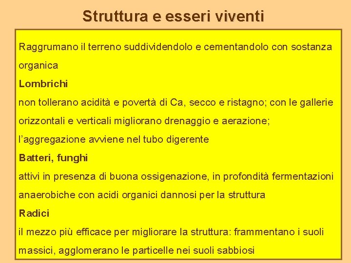 Struttura e esseri viventi Raggrumano il terreno suddividendolo e cementandolo con sostanza organica Lombrichi