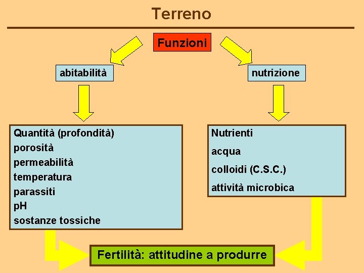 Terreno Funzioni abitabilità Quantità (profondità) porosità permeabilità temperatura parassiti p. H sostanze tossiche nutrizione