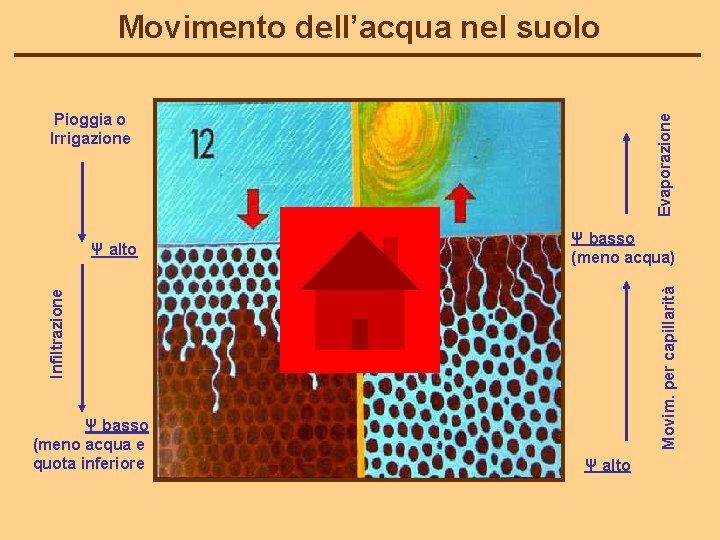 Movimento dell’acqua nel suolo Movim. per capillarità Ψ basso (meno acqua) Infiltrazione Ψ alto