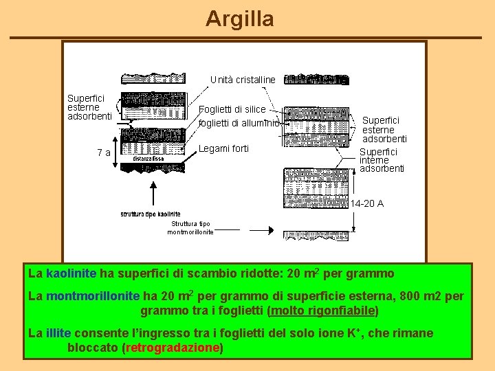 Argilla Unità cristalline Superfici esterne adsorbenti 7 a Foglietti di silice foglietti di alluminio