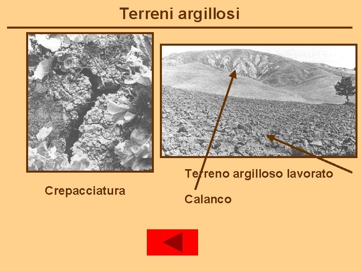 Terreni argillosi Terreno argilloso lavorato Crepacciatura Calanco 