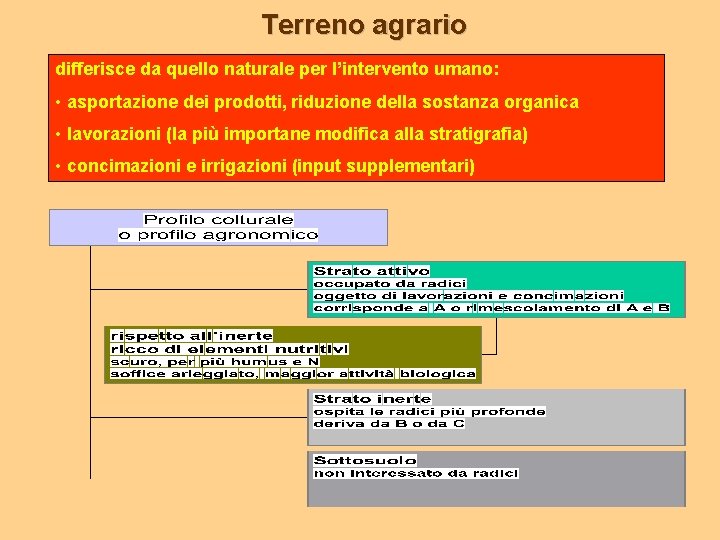 Terreno agrario differisce da quello naturale per l’intervento umano: • asportazione dei prodotti, riduzione