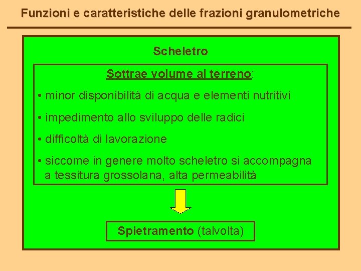 Funzioni e caratteristiche delle frazioni granulometriche Scheletro Sottrae volume al terreno: • minor disponibilità