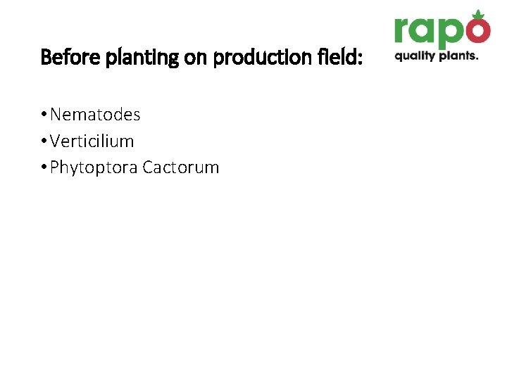 Before planting on production field: • Nematodes • Verticilium • Phytoptora Cactorum 