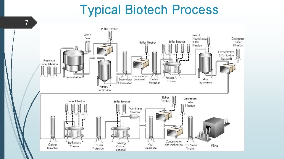 Typical Biotech Process 7 