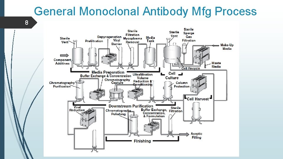 General Monoclonal Antibody Mfg Process 8 