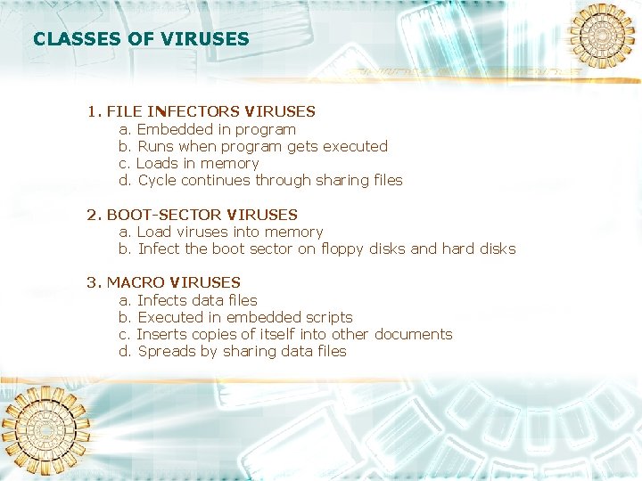 WHAT IS A VIRUS Computer viruses are called