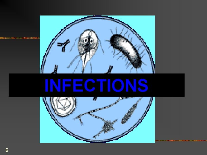 INFECTIONS 6 