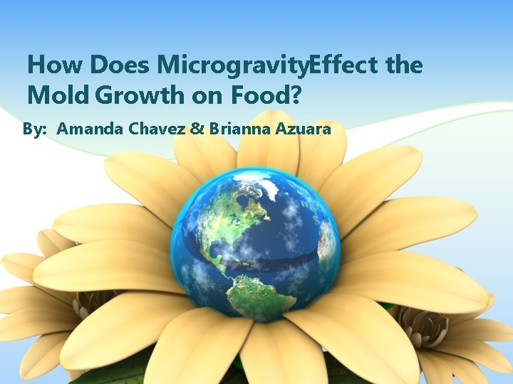 How Does Microgravity. Effect the Mold Growth on Food? By: Amanda Chavez & Brianna