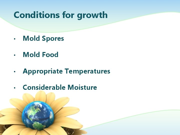 Conditions for growth • Mold Spores • Mold Food • Appropriate Temperatures • Considerable