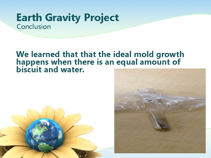 Earth Gravity Project Conclusion We learned that the ideal mold growth happens when there