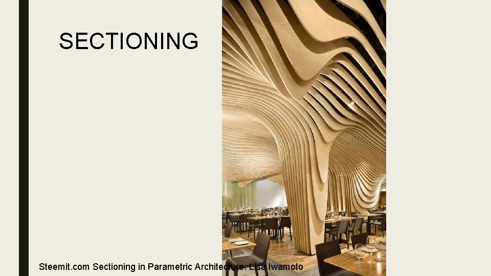 SECTIONING Steemit. com Sectioning in Parametric Architecture. Lisa Iwamoto 