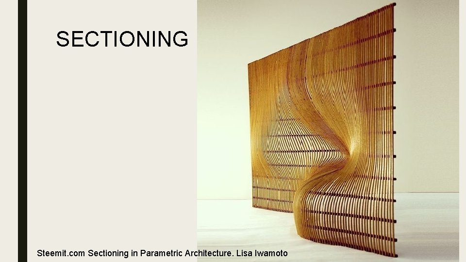 SECTIONING Steemit. com Sectioning in Parametric Architecture. Lisa Iwamoto 