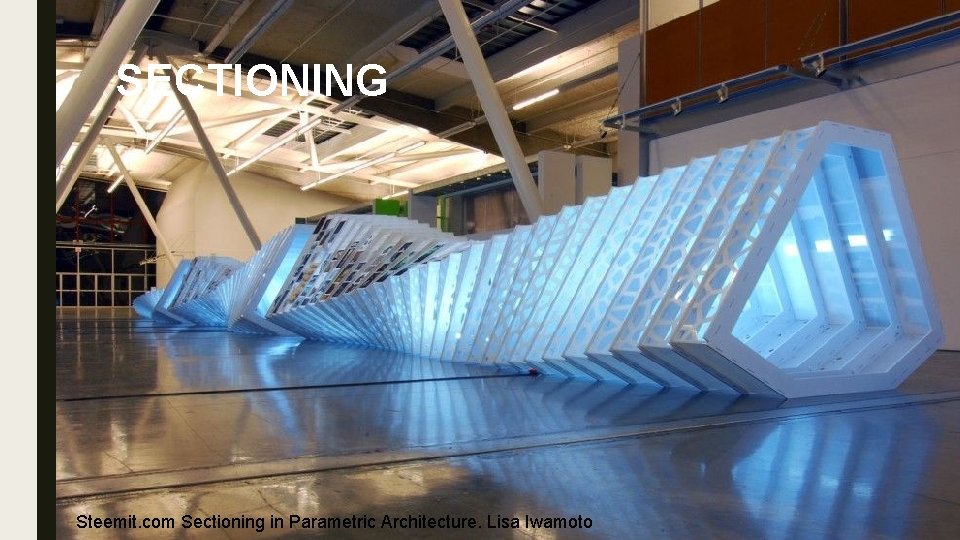 SECTIONING Steemit. com Sectioning in Parametric Architecture. Lisa Iwamoto 