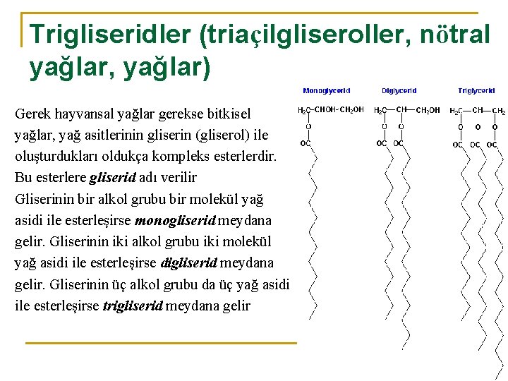 Trigliseridler (triaçilgliseroller, nötral yağlar, yağlar) Gerek hayvansal yağlar gerekse bitkisel yağlar, yağ asitlerinin gliserin