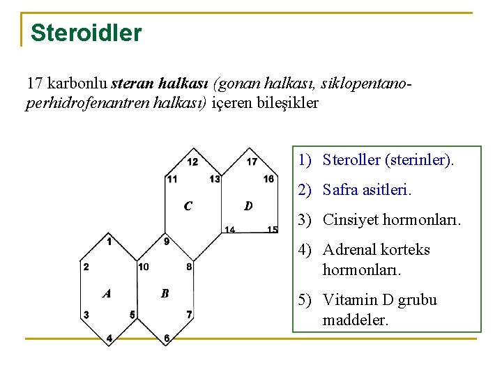 Steroidler 17 karbonlu steran halkası (gonan halkası, siklopentanoperhidrofenantren halkası) içeren bileşikler 1) Steroller (sterinler).