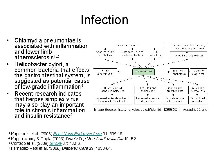 Infection • Chlamydia pneumoniae is associated with inflammation and lower limb atherosclerosis 1, 2